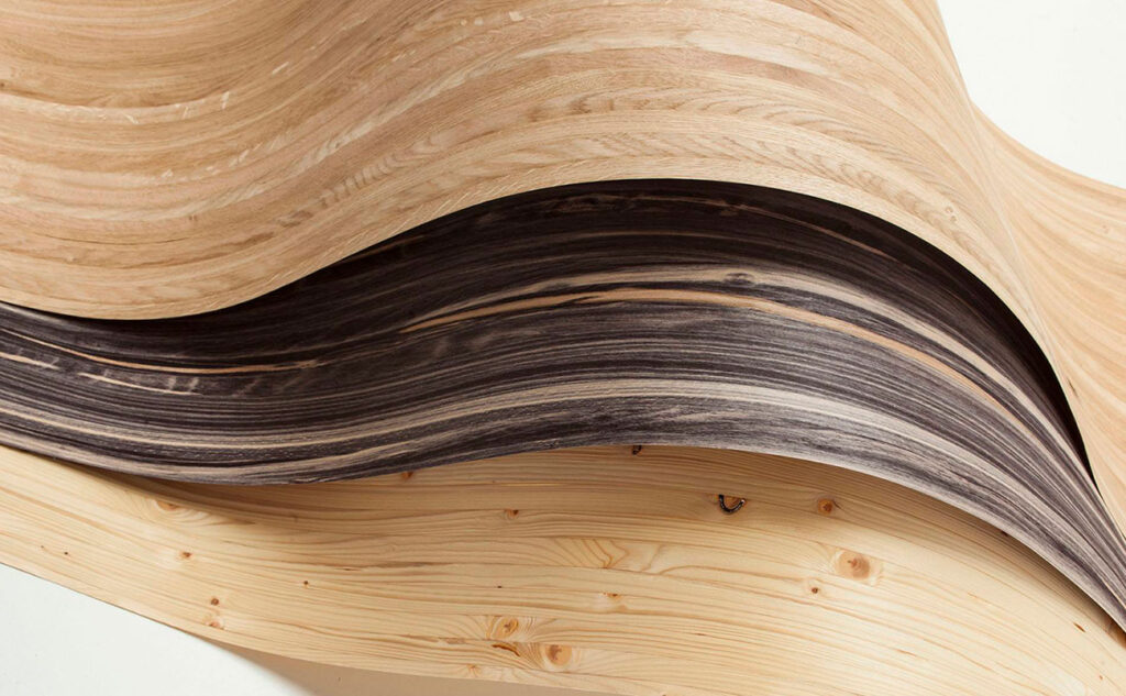 Какие виды древесины используют для изготовления шпона